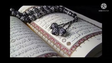 سورة إبراهيم صفحة ( 255) الشيخ ماهر العقلي