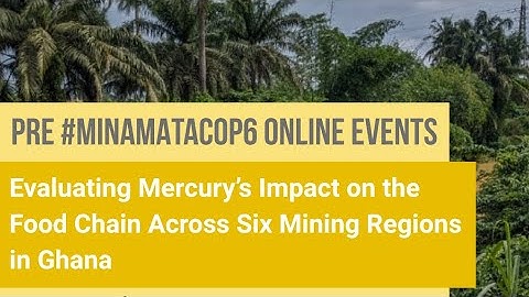 Evaluating Mercury’s Impact on the Food Chain Across 6 Mining Regions in Ghana