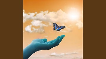 Background for Smooth Timbers