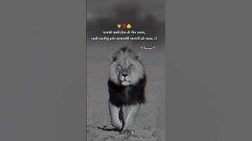 જટાળો સામે હોય તો જોર કરાય બાકી બકરીયું હારે બાંધવાથી આપડી ઘટે વાલા..!!🦁💯🫵#shorts #trending #viral