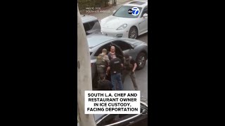 South LA chef and restaurant owner in ICE custody, facing deportation