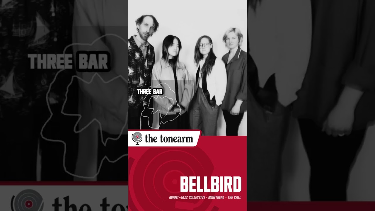 Everyone's Ideas Are Valid: Bellbird on Collaboration and Creative Ownership