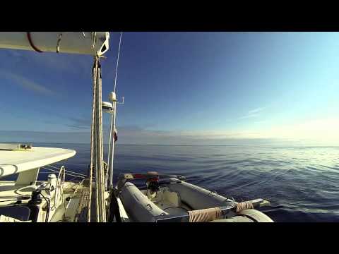 Le Calme Plat Video
