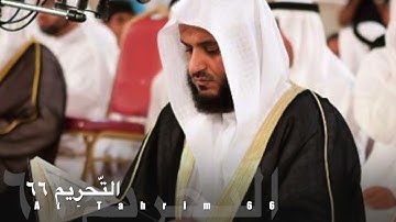 سورة التّحريم ٦٦ مشاري العفاسي Surat at-Tahrim 66 - Mushary Alafasy