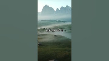 واتس اب قران كريم القارئ ياسر دوسري (سوره الأنسان)