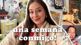 Vlog: Una semana conmigo! Haul, remodelación, mucho trabajo y más!
