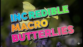 Stunning Macro Butterflies 🦋 Beautiful Nature Photography Slideshow