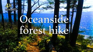 Hike Past PNW Forest Streams To Ocean Cliffs | 4K Virtual Hike