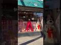 Sonny Angel Hunting in NYC