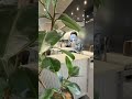 えwwww盗撮されてんだけど #shorts