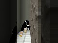 ぜんいちの妹を助ける?【マイクラ・まいぜんシスターズ】 #minecraft #animation #マイクラアニメ