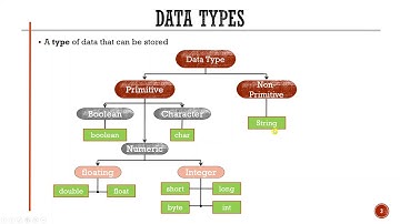 Java Programming Language Lecture3-1: Data Types and Variables