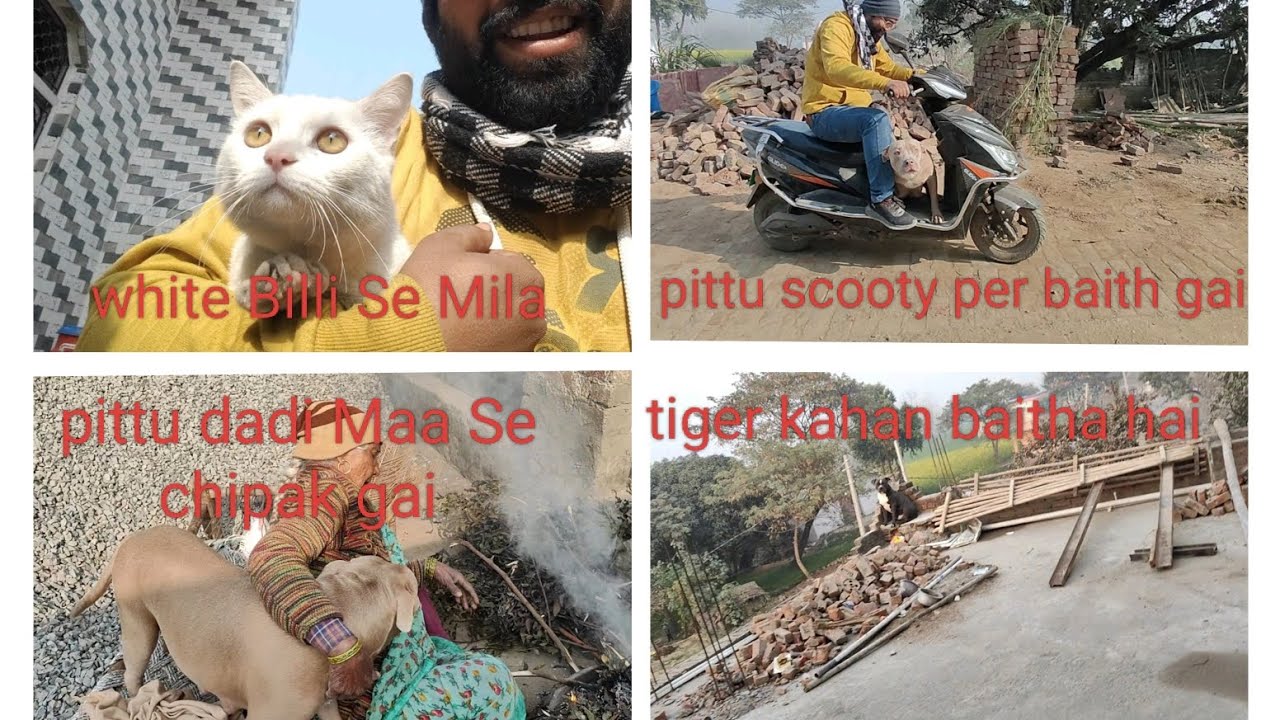 White Billi Se Mila.   Pittu ko scooty per baitha Diya 😱