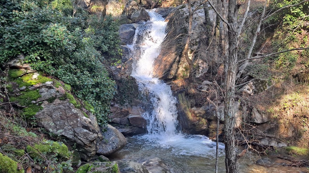 GARGANTA DE MAJALOBOS (SOTILLO DE LA ADRADA) - dic 22