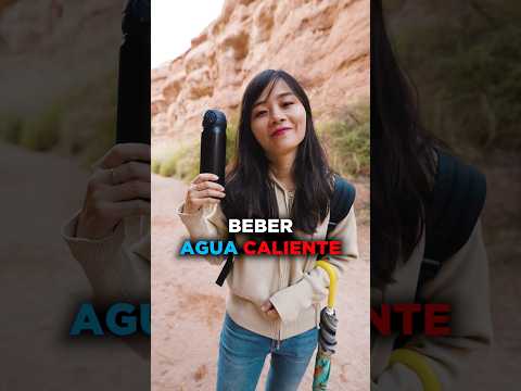 LA COSTUMBRE DIARIA