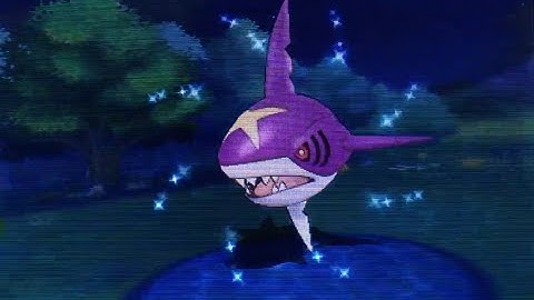 ORAS LIVE Shiny Sharpedo! *Mega Quest #2* (Fish Chaining)