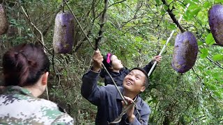 长沙二嫂来我家玩，带她去山上吃野果，这果子她还是第一次吃