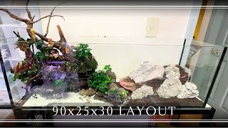 天然流木　レイアウト　奇跡の曲線美　コケリウム 流木レイアウト✌️ #レイアウト水槽 #流木#熱帯魚