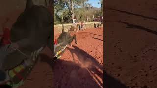 Fiestas del ? Jalisco #rancho #toros #purosbaile