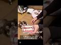 【保護犬】生まれて初めてのお誕生日#shorts #チワワ #保護犬