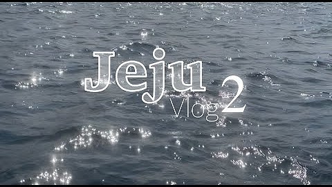 #6 우당탕탕 제주여행2🏝| 제주브이로그 | 일상브이로그 | 커플브이로그 | 여행브이로그 | 더블데이트
