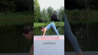 Famous How to jump from down dog to forward fold Net Worth