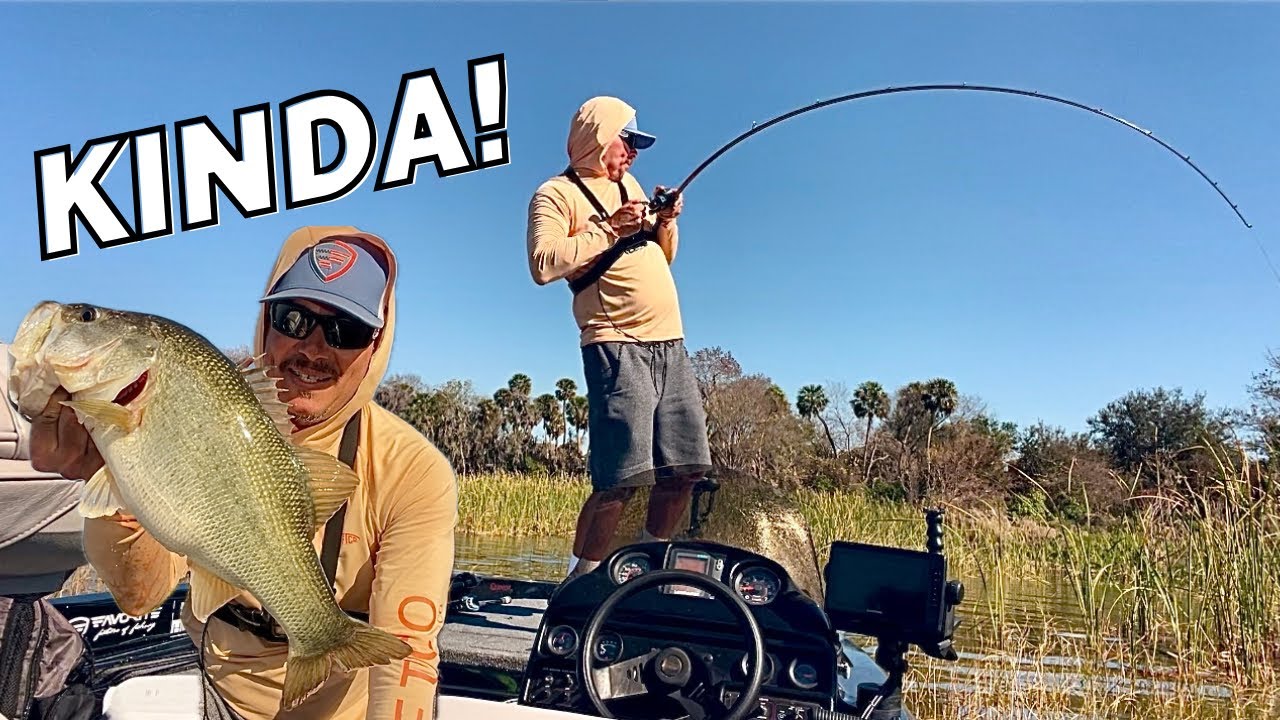 The Flipping BITE Is HEATING Up On Lake Apopka!!  The Harris Chain of Lakes!