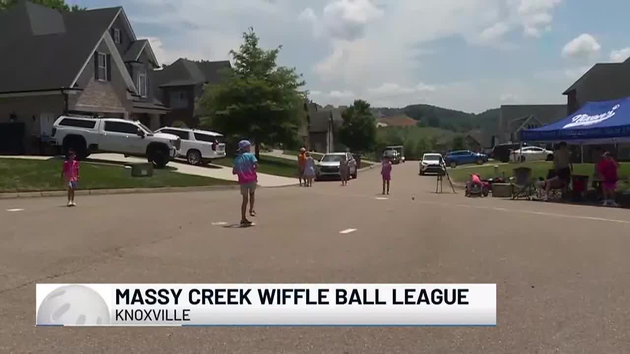 A field of dreams | Area kids create big league wiffleball atmosphere