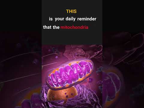 Video: Iš ko paveldėjote mitochondrijų DNR?