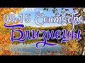 БЛИЗНЕЦЫ. С 9 ПО 15 СЕНТЯБРЯ 2019. ТАРО-ПРОГНОЗ.