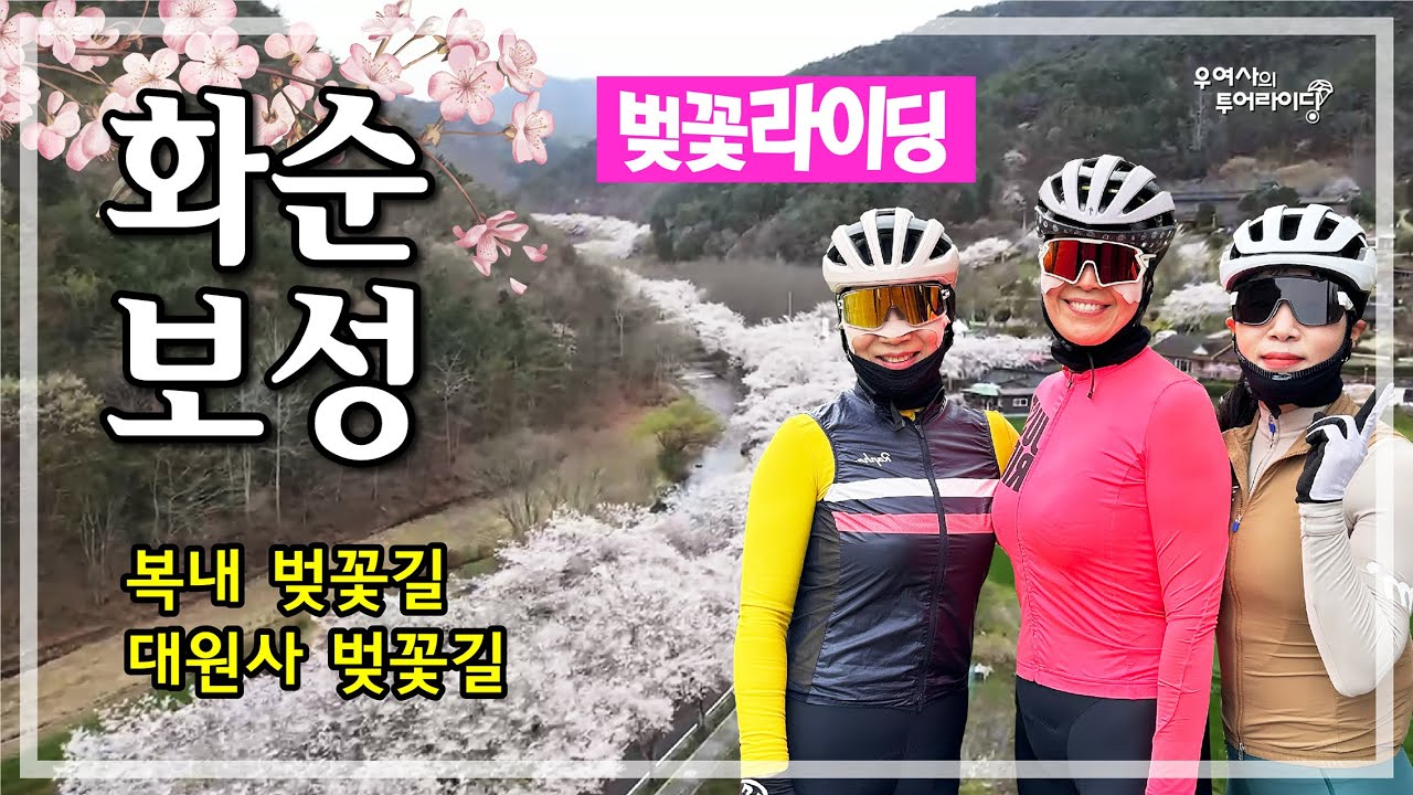 화순-보성 벚꽃 (화순읍-능주면-복내면-주암호-사평면) '24.04.06.