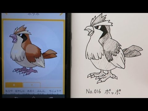 黒ペン一発描き ポケモン図鑑を絵で完成させたい No 016 ポッポ Youtube 黒ペン一発描き ポケモン図鑑を絵で完成させたい No 016 ポッポ Youtube