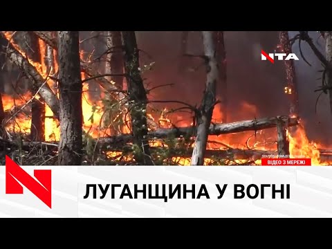 На Луганщині горять ліси: жертви, евакуація, причини загорання.