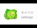 野菜の単語(1) 【Words of Vegetables in English and Japanese】