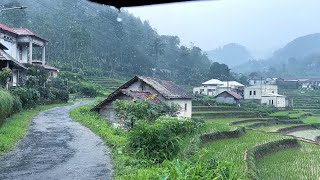Rain all day in rural Indonesia||natural beauty and cool atmosphere||suitable for insomnia by indoculture 26,418 views 1 month ago 3 hours, 15 minutes