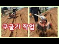 [🤠ㆍ321] 땅콩밭 관리기로 구굴작업. 두둑 만들기 #주말농장 #관리기