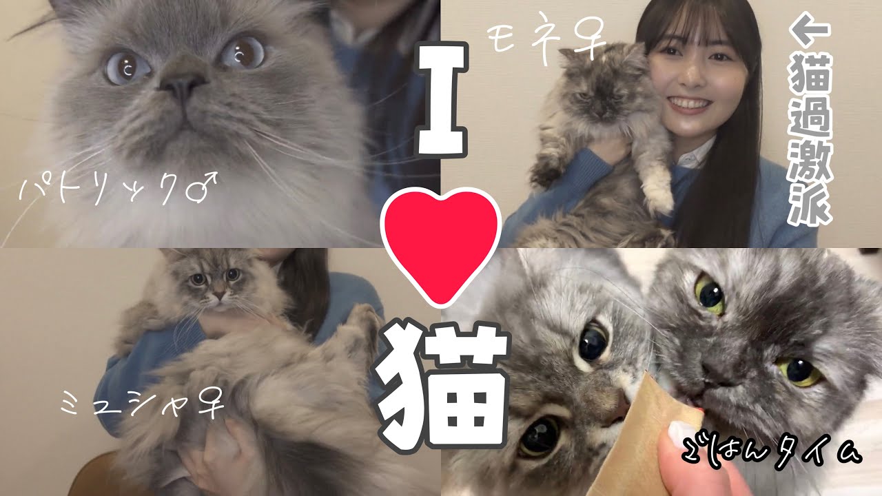 頓知気さきな ファムファタール ランチェキ 猫 犬