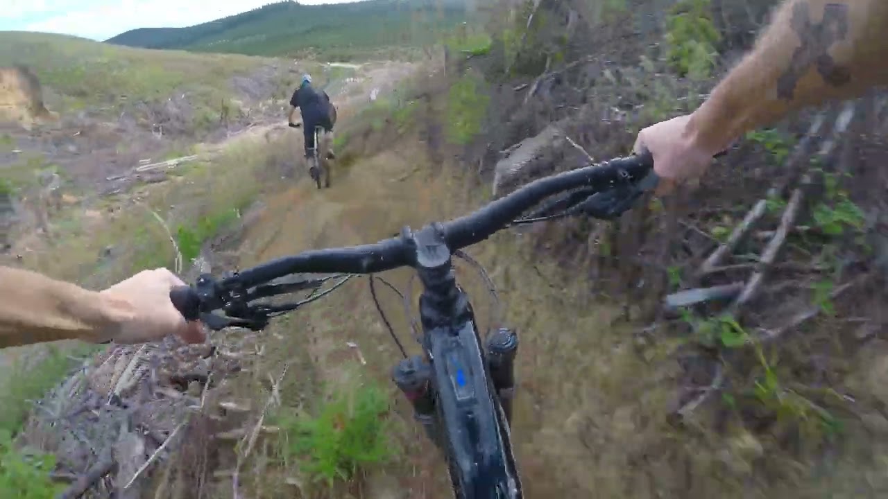 New Floating Bridge and Rehab - Riverhead Forest