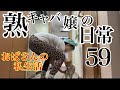 59話 熟女とキタキツネの感動的な私生活