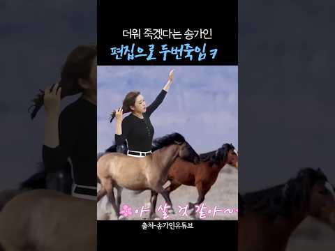 더워 죽겠다는 송가인 두번 보내는 유튜브팀 thumbnail