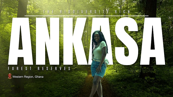 Explore The Wonders of Ankasa Reserve