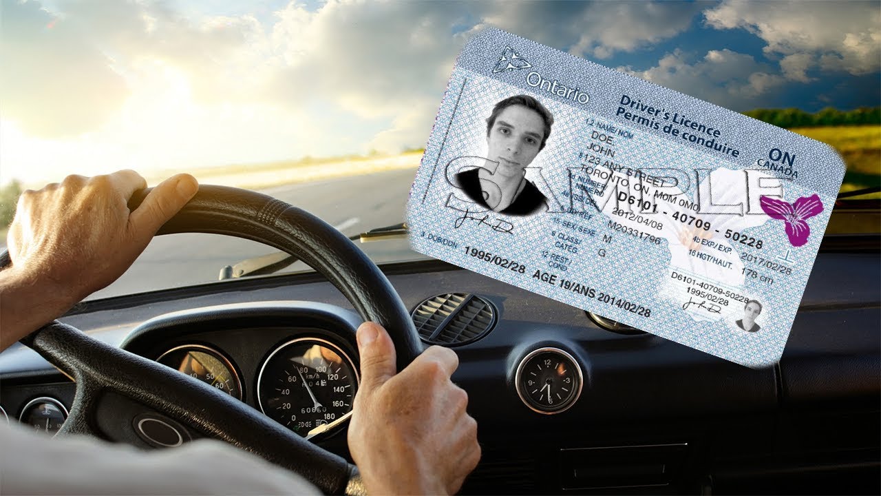 Driver s license. Водительское Канады.