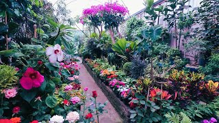 Un paseo por el mercado de plantas y flores en Viveros Coyoacán Ciudad de México