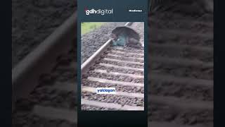 Uykusu Gelen Adam Rayların Üzerinde Sızdı