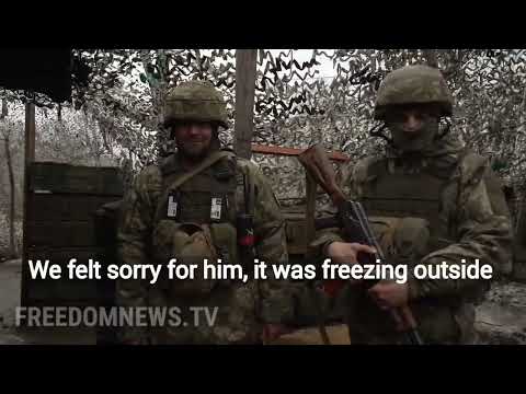 Rambo, the puppy, guarding post with Ukrainian soldiers