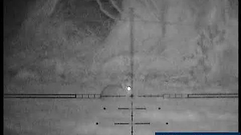 SNIPERCAM RABBITING WITH CZ455 22LR