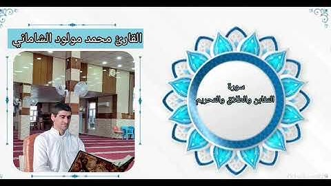 القارئ محمد مولود الشاماني سورة التغابن والطلاق والتحريم