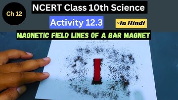 Activity 12.2 I Class 10 Science I Magnetic Field Lines due to Bar Magnet
