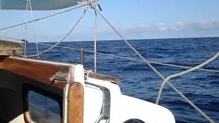 Sheet to Tiller Steering requires finesse #sailing #diy #autopilot