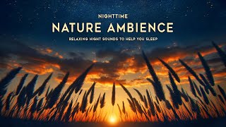 Nighttime Nature Ambience | Fall Asleep Fast | Soothing Night Sounds For Sleeping